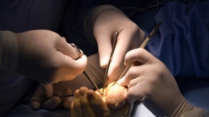 Hand Surgeon